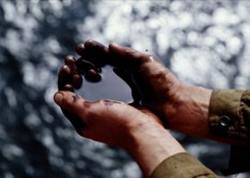 Злая рыба капля+ нефтяное пятно