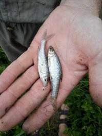 Мы все выходные на рыбалке были)))))