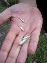 Мы все выходные на рыбалке были)))))