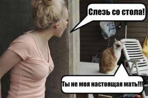 12 картинок с инструкциями о том, как быть котом