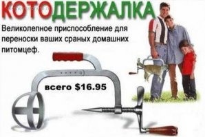 12 картинок с инструкциями о том, как быть котом