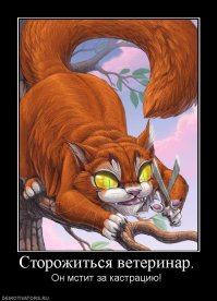 когда открывал пост наделся что увижу как кот мстит за кастрацию или типа того))))