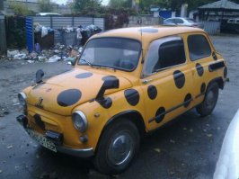 Очередная подборка автоприколов