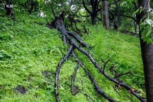 Тайфун во Владивостоке