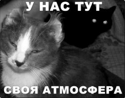 14 очень веселых открыток 