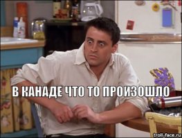 Социальный абсурд: мертвому еноту создали настоящий мемориал на улице 