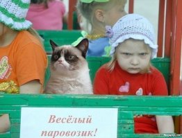 Обхохочешься...