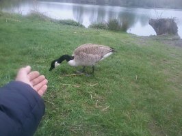 Всех с Днем рыбака!