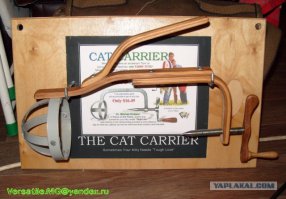 12 картинок с инструкциями о том, как быть котом