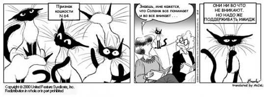 УБОГАЯ пародия на "Признаки кошкости".
ни юмора, ни стиля...
--------------------