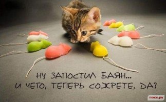 Ружьишко