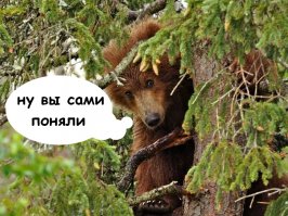 60 ранних профессий голливудских звезд (19 фото)