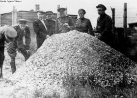 Охреневшие советские солдаты стоят у огромной кучи человеческого пепла на освобождённом концлагере Майданек.