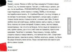 Комментарии из соцсетей