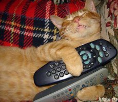 Я очень люблю смотреть подобные программы по NatGeoTV, однако они идут ночью и озвучиваются монотонным рассказом, что меня хватает только на 5 минут просмотра, блин(