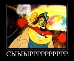 Инструкция: Как правильно выбрать сыр  