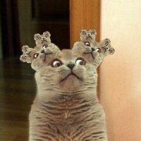 Удивительные узоры, вырезанные лазером на бумаге