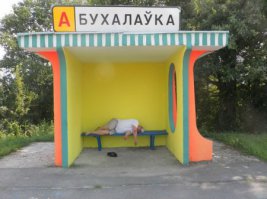 Фотоподборка за 14.07.2015