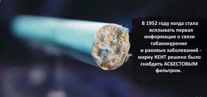 10 удивительных фактов, о которых вы, возможно, не знали