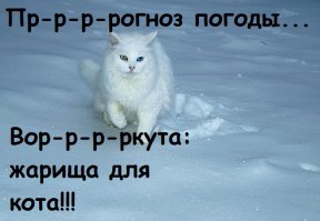 Ну, в Воркуте лето вообще супер!!!