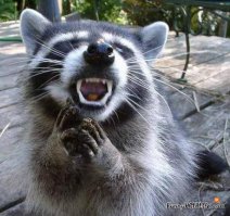 Невероятно злые животные 