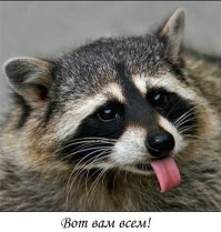 Невероятно злые животные 