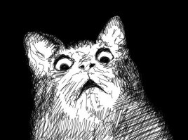 В кота вселился сам Дьявол