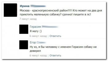 Смешные комментарии из социальных сетей 