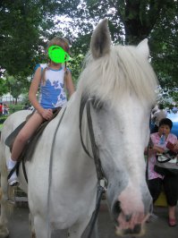 15 фото, к которым стоит хорошенько присмотреться