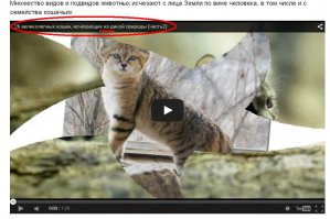 вoт дaже тут виднo