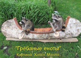 Уравновешу пост живым енотами