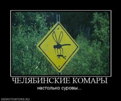 Почему нас так любят комары?