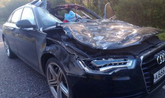 Много горя эти цифры принесли свои обладателям и окружающим их людям: