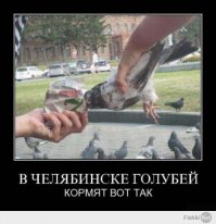 Подборка демотиваторов 