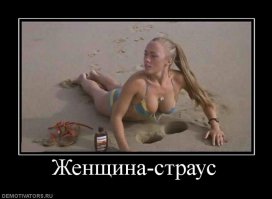 Подборка демотиваторов 