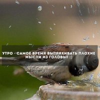 Шефа головой об стену пока всё не вытряхнется.