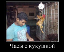 Подборка демотиваторов 
