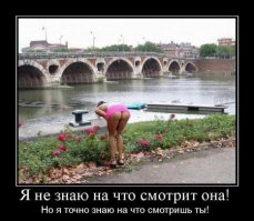 Подборка демотиваторов 