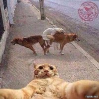 Третий лишний