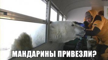 Прикольные картинки с надписями