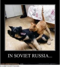 Подборка демотиваторов 