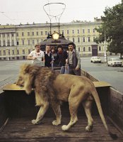 Кинг I, "Невероятные приключения итальянцев в России".