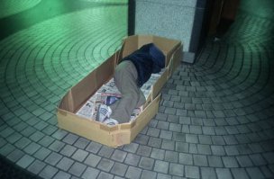 Кошачий рай