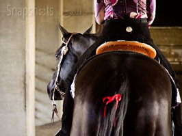 "Ошейник с посланием"
----
Лошадям давно уже в хвост вплетают разноцветные ленточки со смыслом:
красная - лягается
желтая или синяя - жеребец (требуется осторожность: может покрыть или полезет драться)
зеленая - молодая, неопытная лошадь (может плохо рулиться)
белая - лошадь продаётся
Чаще всего видел красную. Остальные у нас не распространены. А на Западе используются активно.