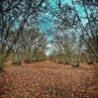 Аааа...круто,очень понравился пост.Хоть и село маленькое ,но столько красоты