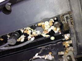 приключения на бывшей машине:
1) это вытащили из переднего колеса
2) замигал чек энджин, неровная тяга - думал наконец то сломалась скотина. а фиг там, микки маусы сожрали высоковольтник+кучу поролона с крышки двигателя... не ставьте зимой у мусорки никогда, если пожрут крупный жгут - охереете чинить...