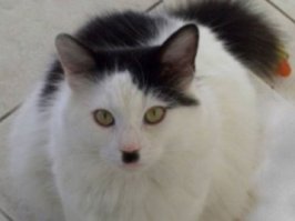 Реальные люди после реинкарнации