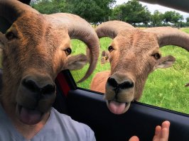 Реальные люди после реинкарнации