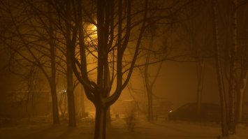 у меня с окна вид.