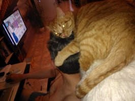 моя наглая рыжая морда и муж)